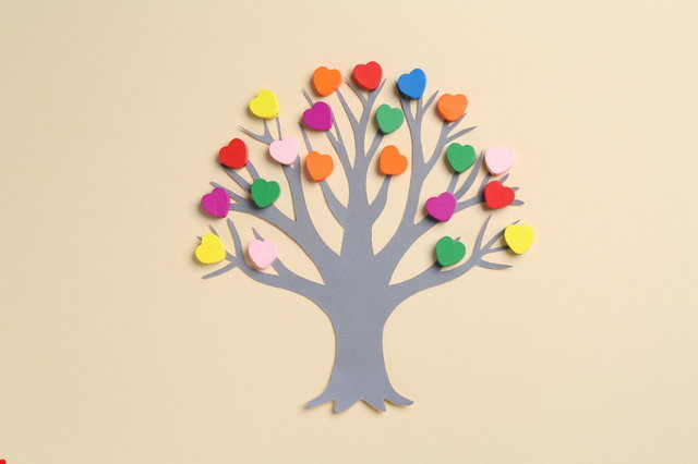 Cursus Genealogie voor Beginners