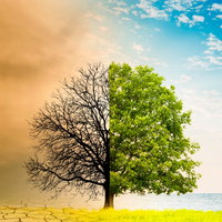 Klimaatverandering en de invloed op het dagelijkse weer in Twente