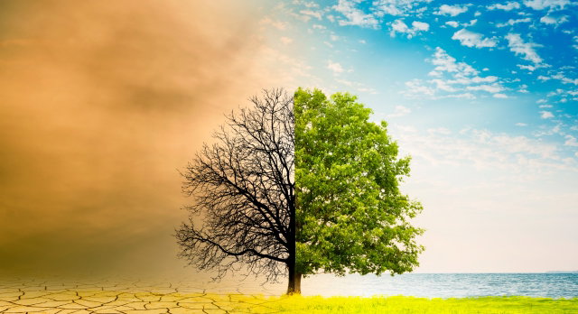 Klimaatverandering en de invloed op het dagelijkse weer in Twente