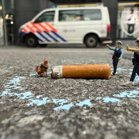 Tentoonstelling: Het Plandelmuseum
