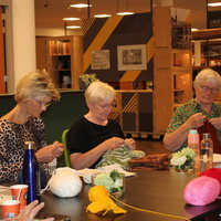 Heel Hoogeveen Haakt
