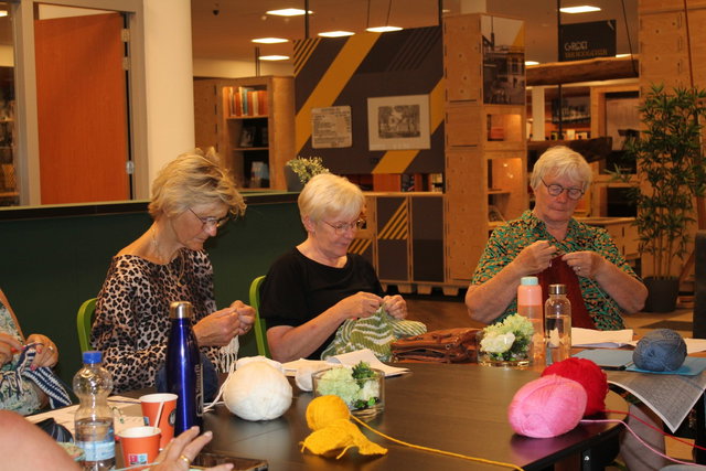 Heel Hoogeveen Haakt