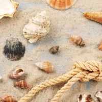 Creatief Café 11-08-2026 14:00