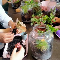 Maak je eigen planten-ecosysteem