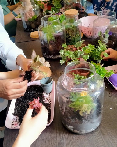 Maak je eigen planten-ecosysteem