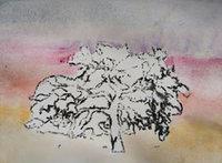 Kunstles Boeken, bomen en het bos
