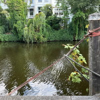 KNNV: Lezing en stadsexcursie