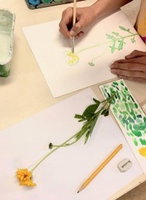 Kunstles botanisch tekenen bij Boek en Botanica