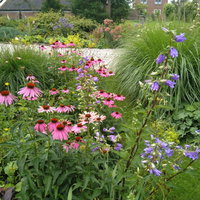 BiebTalk - De Levende Tuin