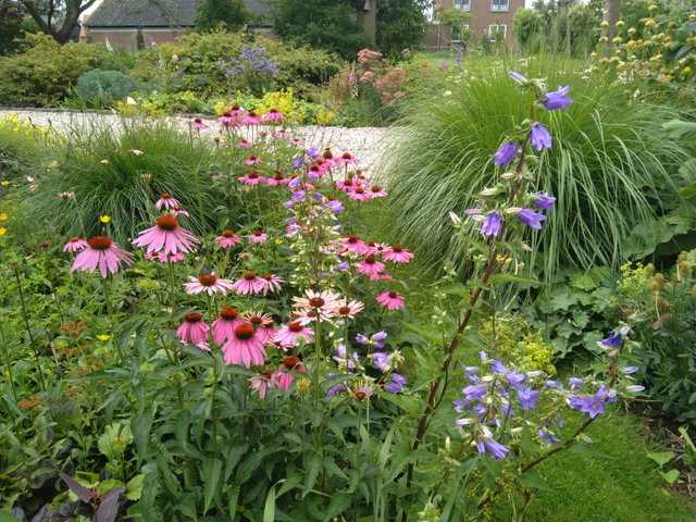 BiebTalk - De Levende Tuin