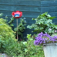 Expositie Peggy en Faye Corstanje: bloemen van oude LP's