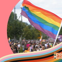 History of pride