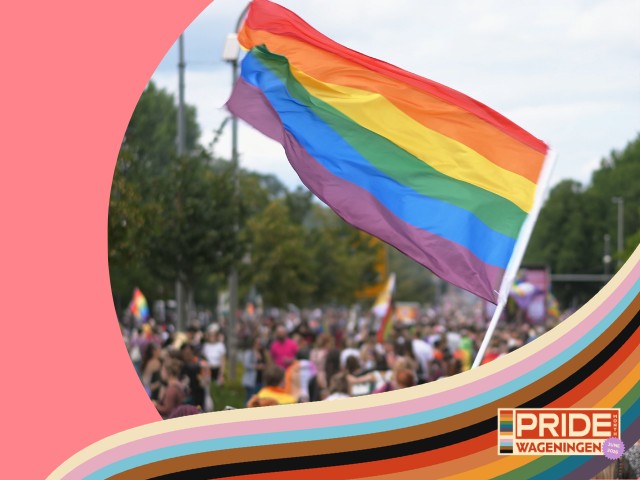 History of pride