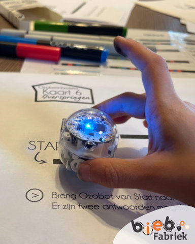 Programmeer een mini-robot