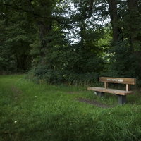 Verhalen- en natuurwandeling langs het Amerdiepje
