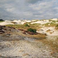 Het ontstaan van de Schoorlse Duinen - Lezing door Pim Weeda
