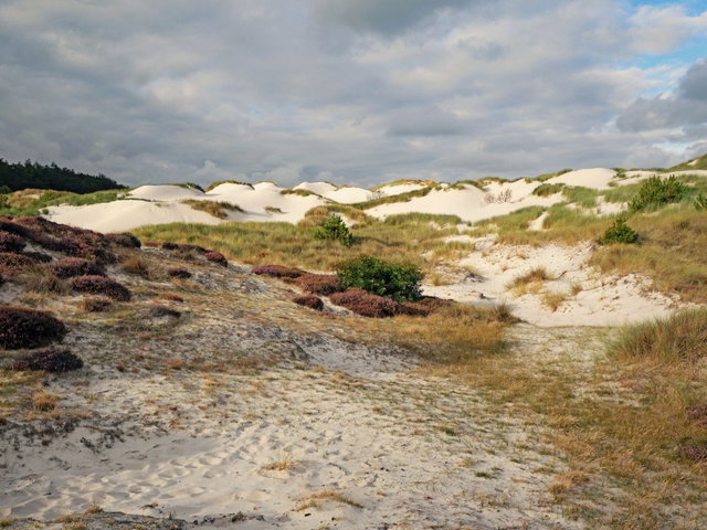 Het ontstaan van de Schoorlse Duinen - Lezing door Pim Weeda