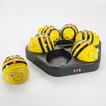 Bee-Bot en Blue-Bot
