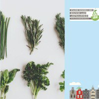 Natuurlijk moestuinieren voor beginners