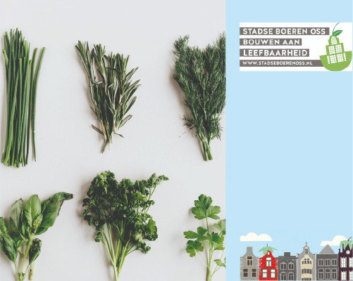 Natuurlijk moestuinieren voor beginners