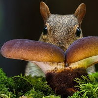 Boekjes en Babbels Valkenswaard 25-09-2026 10:15