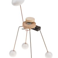 Zomeractiviteit: De Dansende Giraffe