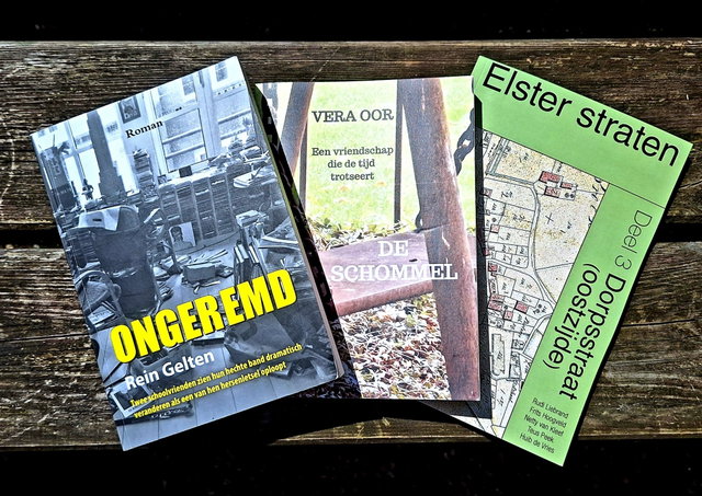 Forte fit voor senioren | Lezing 'Schrijvers uit de streek'