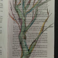 Van boek naar kunst