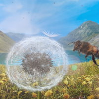 Plandel Party Presenteert: Filmvertoning Dandelion's Odyssey