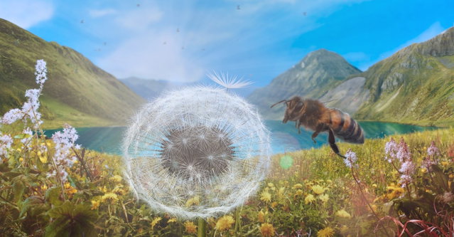 Plandel Party Presenteert: Filmvertoning Dandelion's Odyssey