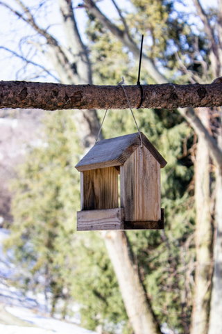 BiebLab - Vogelhuisjes timmeren 8+