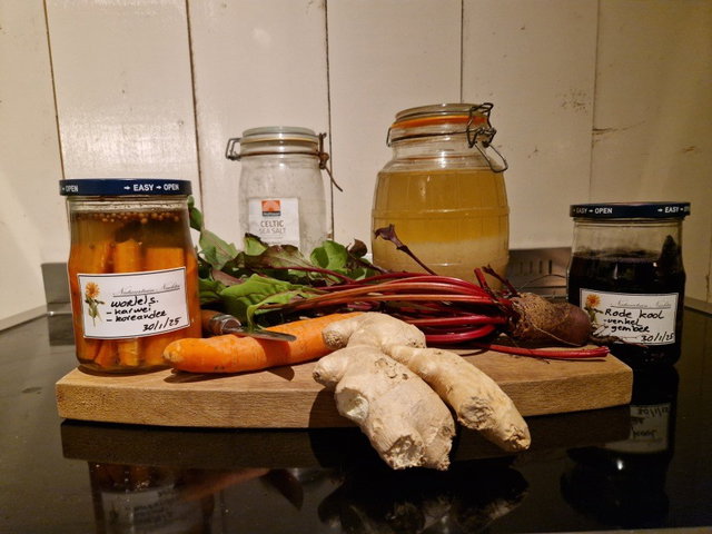 Workshop: Fermenteren met biologische groenten