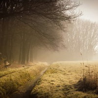 Lezing: Zintuigelijke natuurbeleving