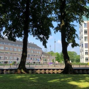 Markante bomenwandeling