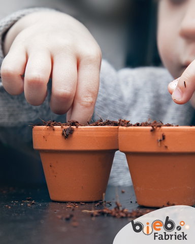 Plant en creëer je eigen bloem in de Proeftuin