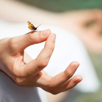 Workshop meditatie op muziek