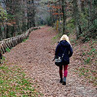 OverHoop: over verlies, veerkracht en verbinding 29-06-2026 19:30