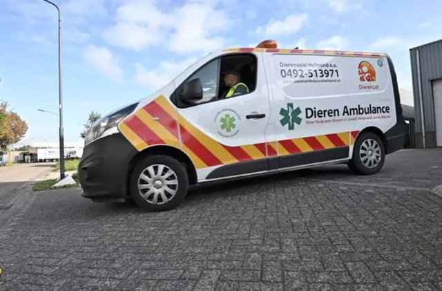 Code rood: Dier in nood!