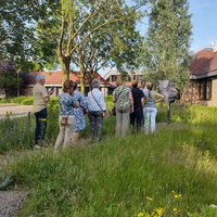 Taalwandeling Nederweert