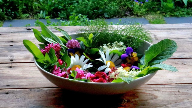 Lezing over eetbare planten