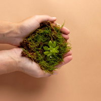 Samen Groen Doen: Hoe maken we Hengelo samen groener?