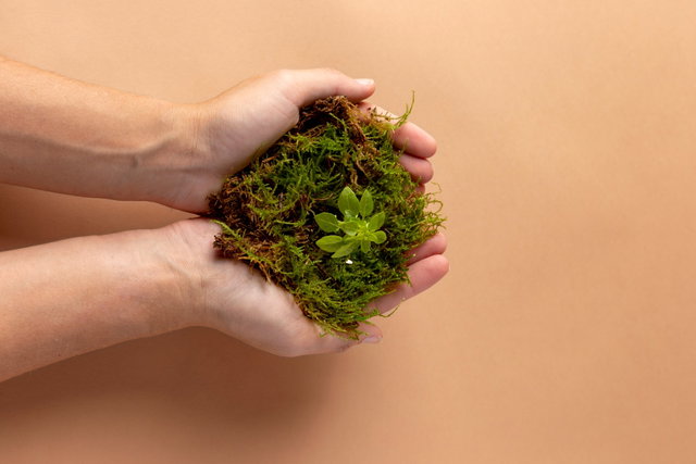 Samen Groen Doen: Hoe maken we Hengelo samen groener?