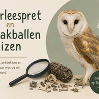 Voorleespret en braakballen pluizen