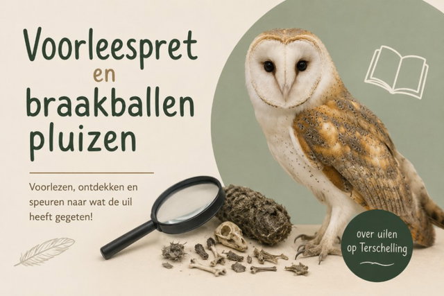 Voorleespret en braakballen pluizen