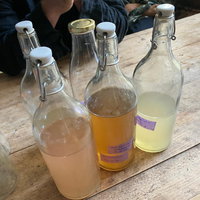 Workshop: Kombucha en waterkefir
