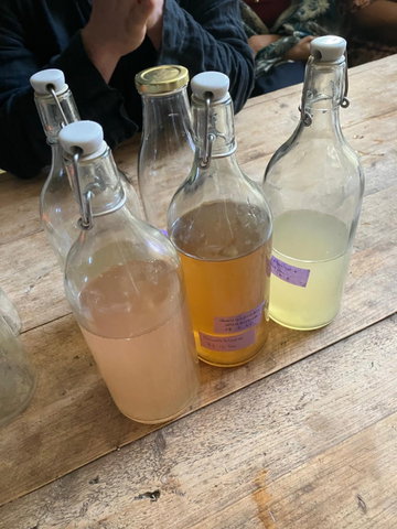 Workshop: Kombucha en waterkefir