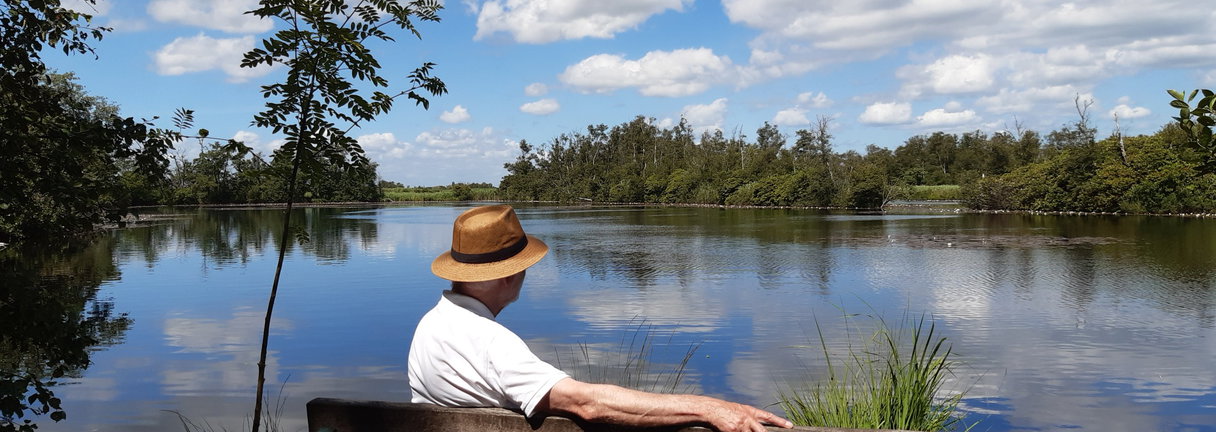 Wandeling De Haeck & Haiku schrijven