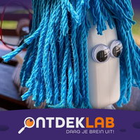 ZomerLAB Maak een borstelbotje