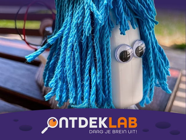 ZomerLAB Maak een borstelbotje