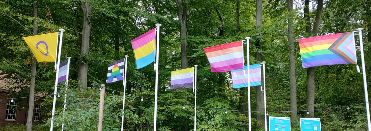 Queer Meet-Up: jouw collageverhaal en belegde stokbroodjes | 15-105 jaar